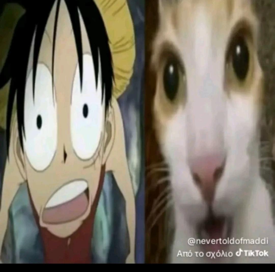 One piece thumbnail
