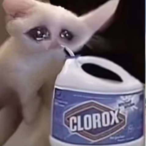 Sad cat thumbnail