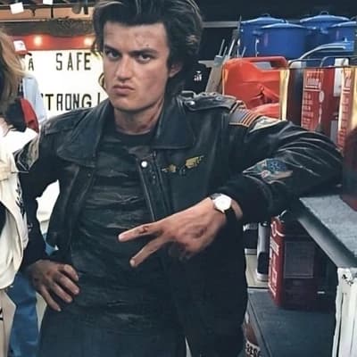 Steve Harrington thumbnail