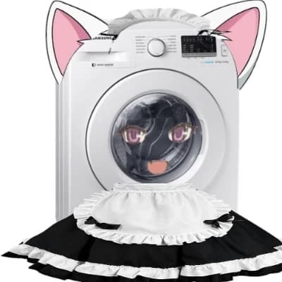 Rodolfo the femboy washing machine thumbnail