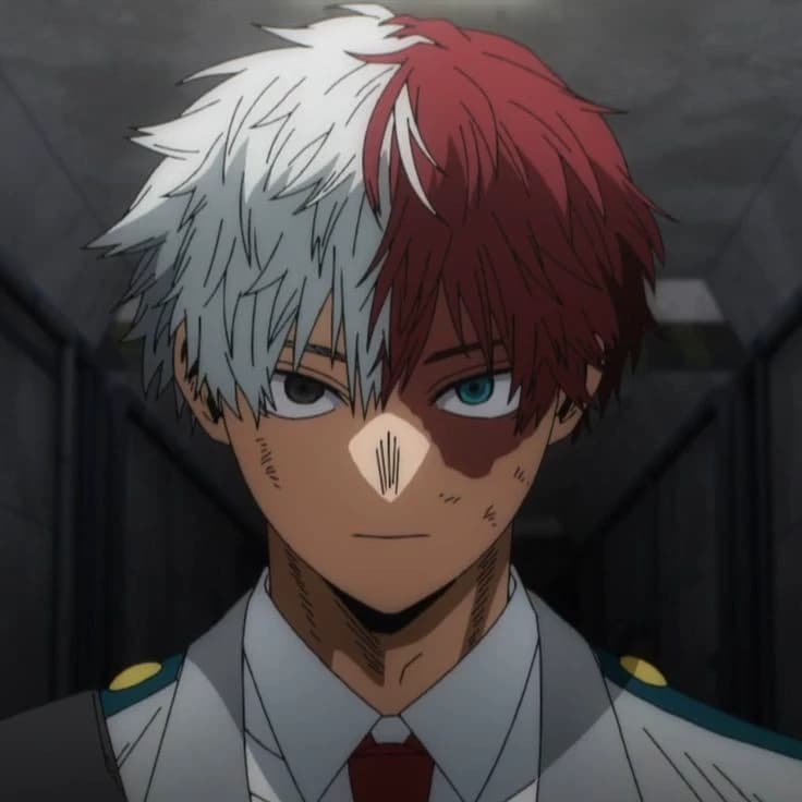 Shoto todoroki  thumbnail