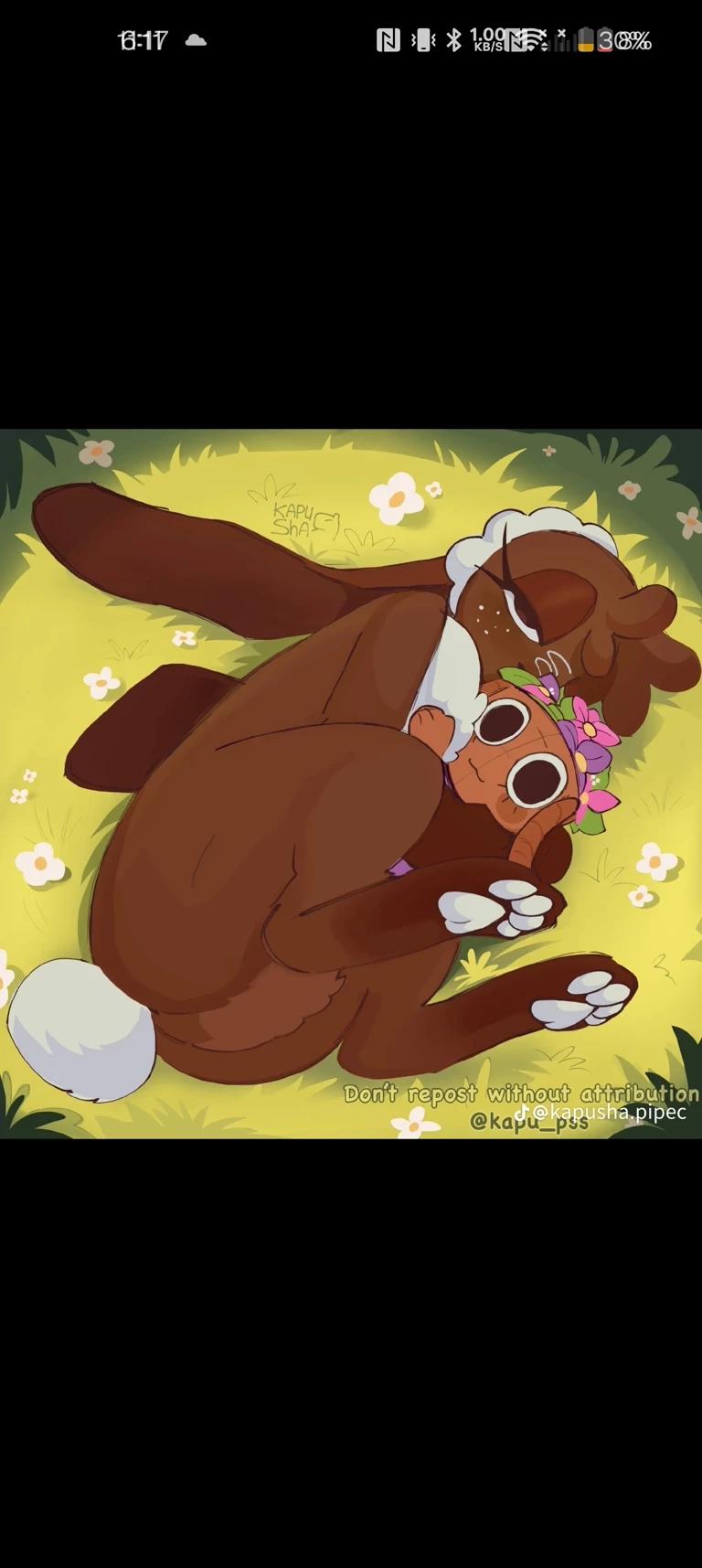 Cocoa thumbnail