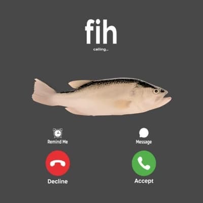Fih thumbnail