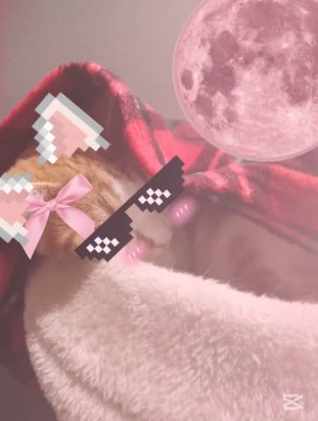 Cool kitten😈 thumbnail