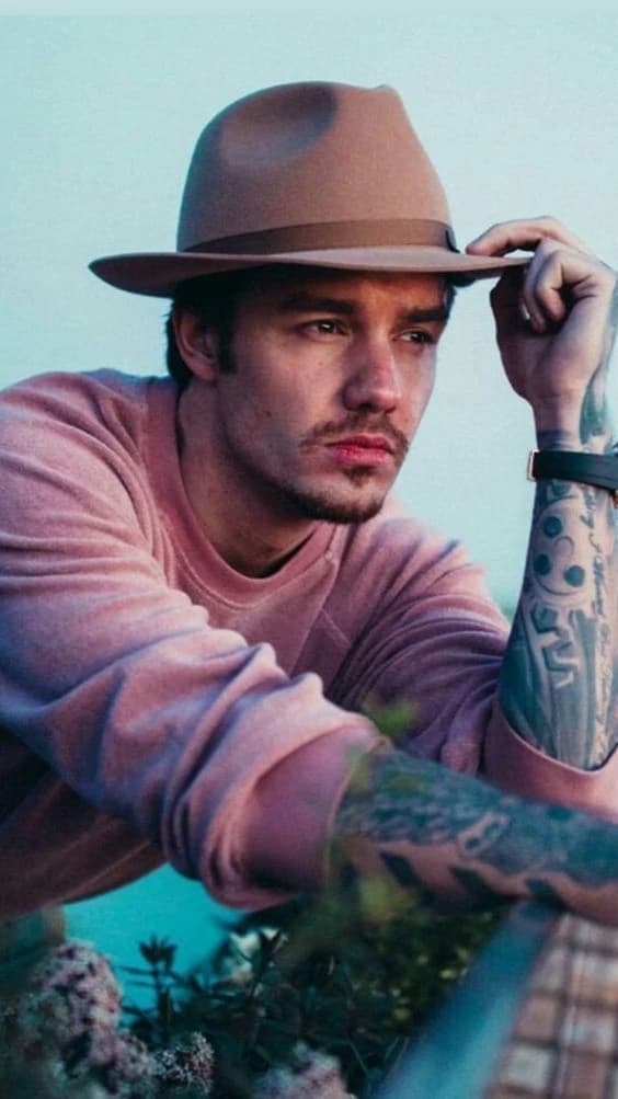 Liam James Payne thumbnail