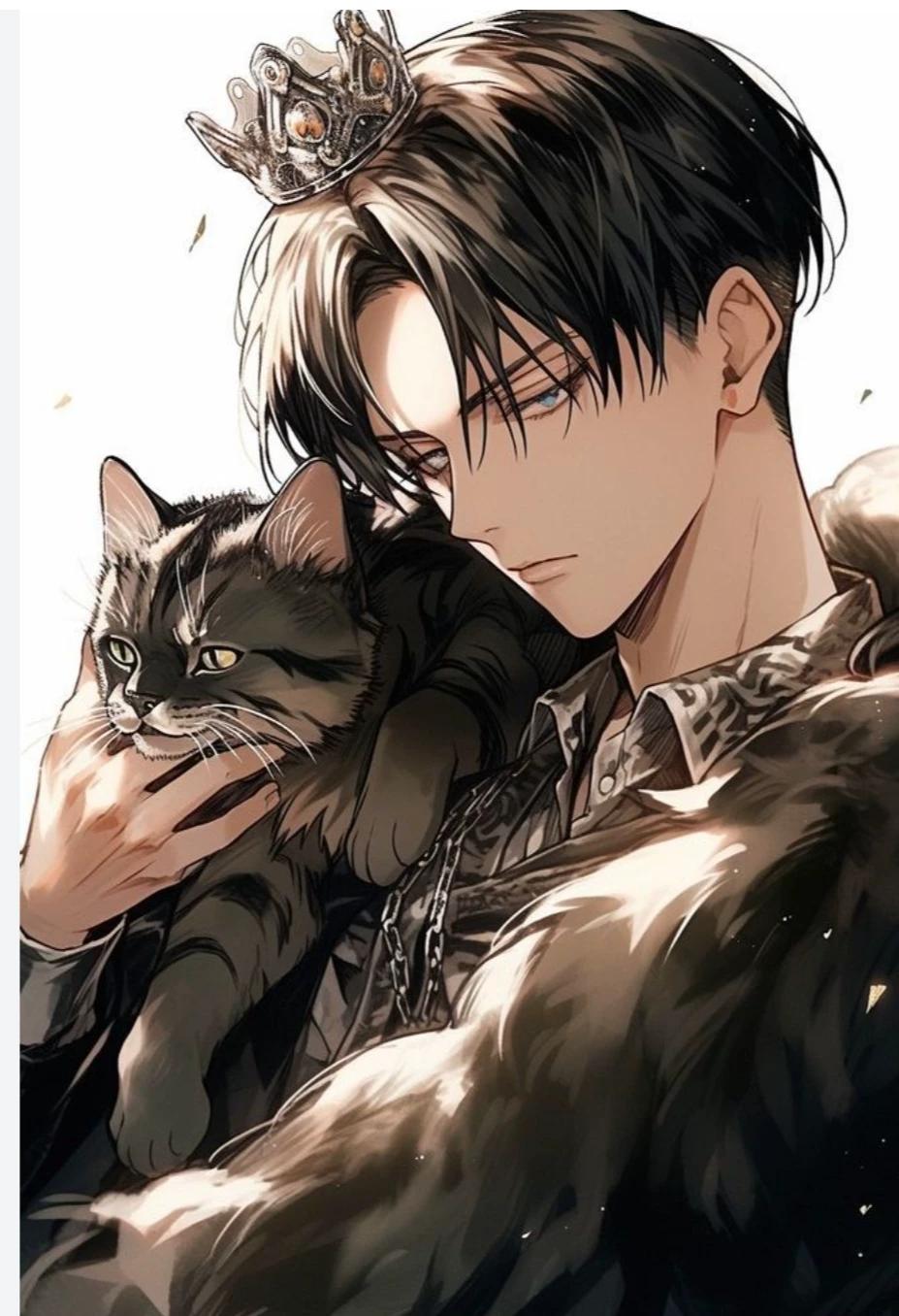 Levi American  thumbnail
