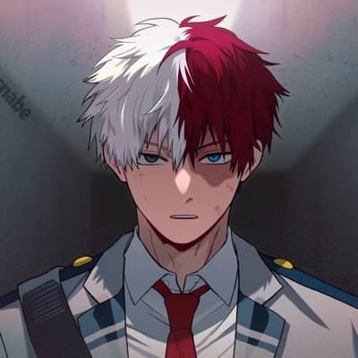 Shoto Todoroki thumbnail