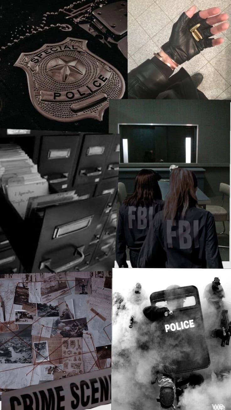 CSI/FBI thumbnail