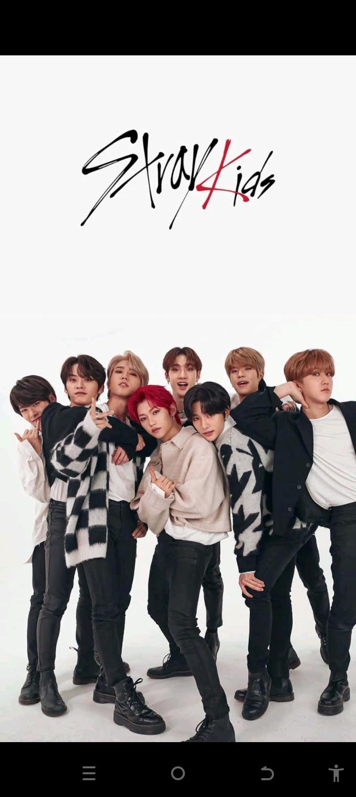 Stray Kids thumbnail