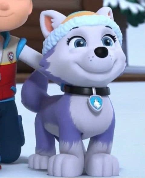 Everest thumbnail