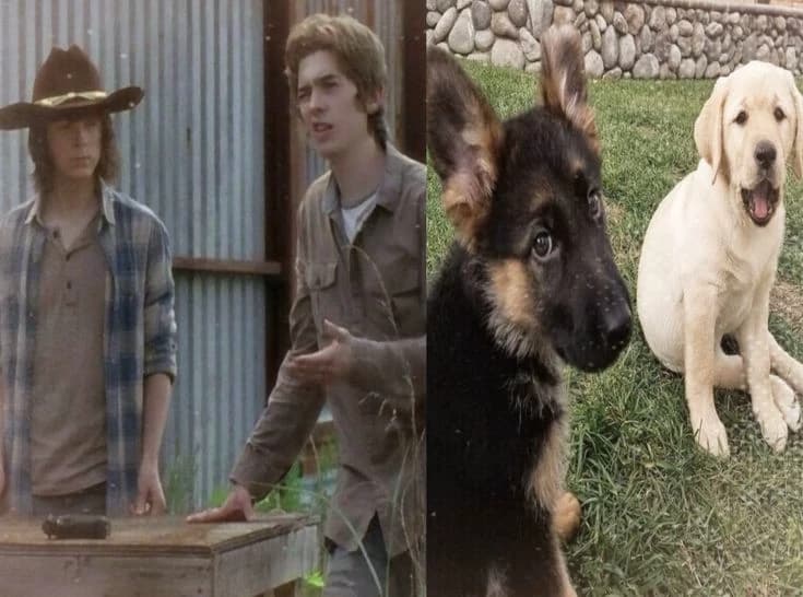 Ron and Carl thumbnail