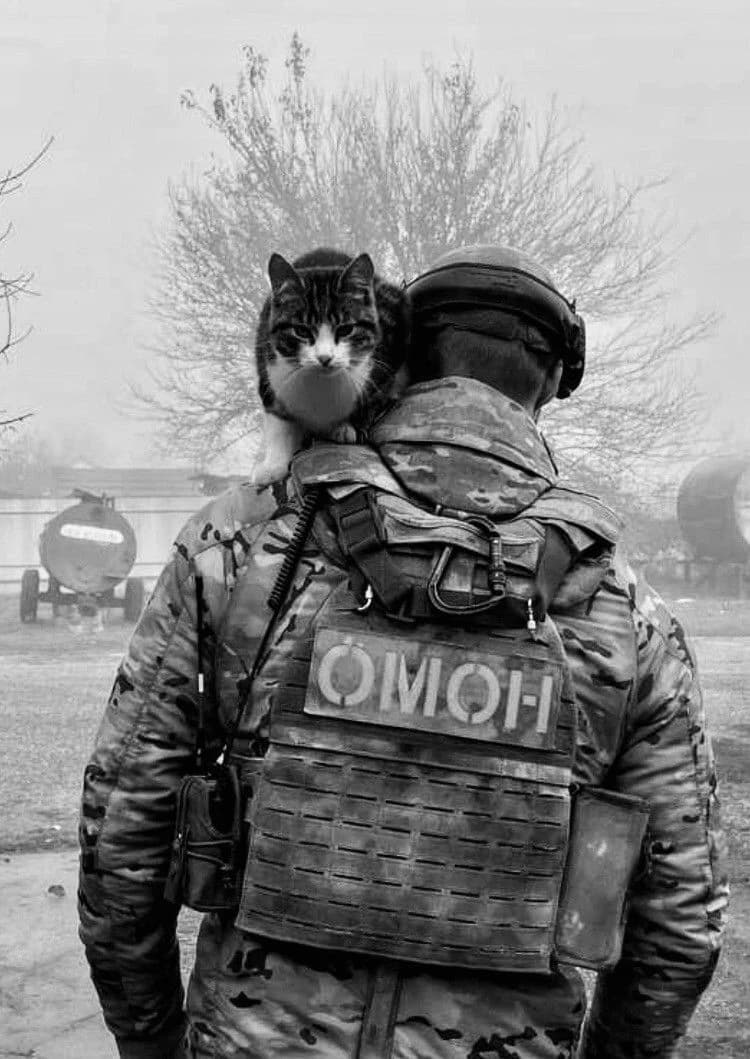 |Russian Neighbor| - Velimir thumbnail