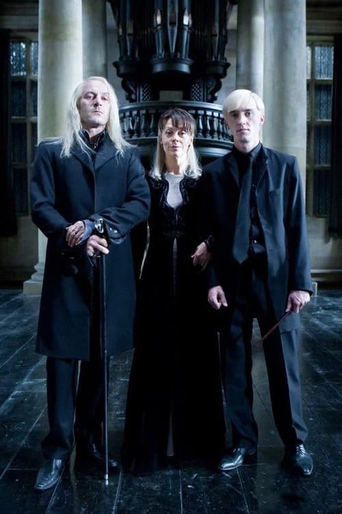 Family Reunion with the Malfoys, Death Eaters and Lord Voldemort thumbnail