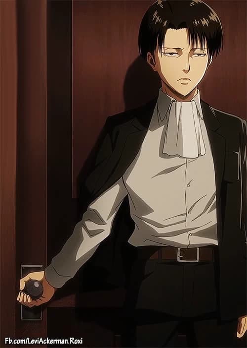 Levi Ackerman  thumbnail
