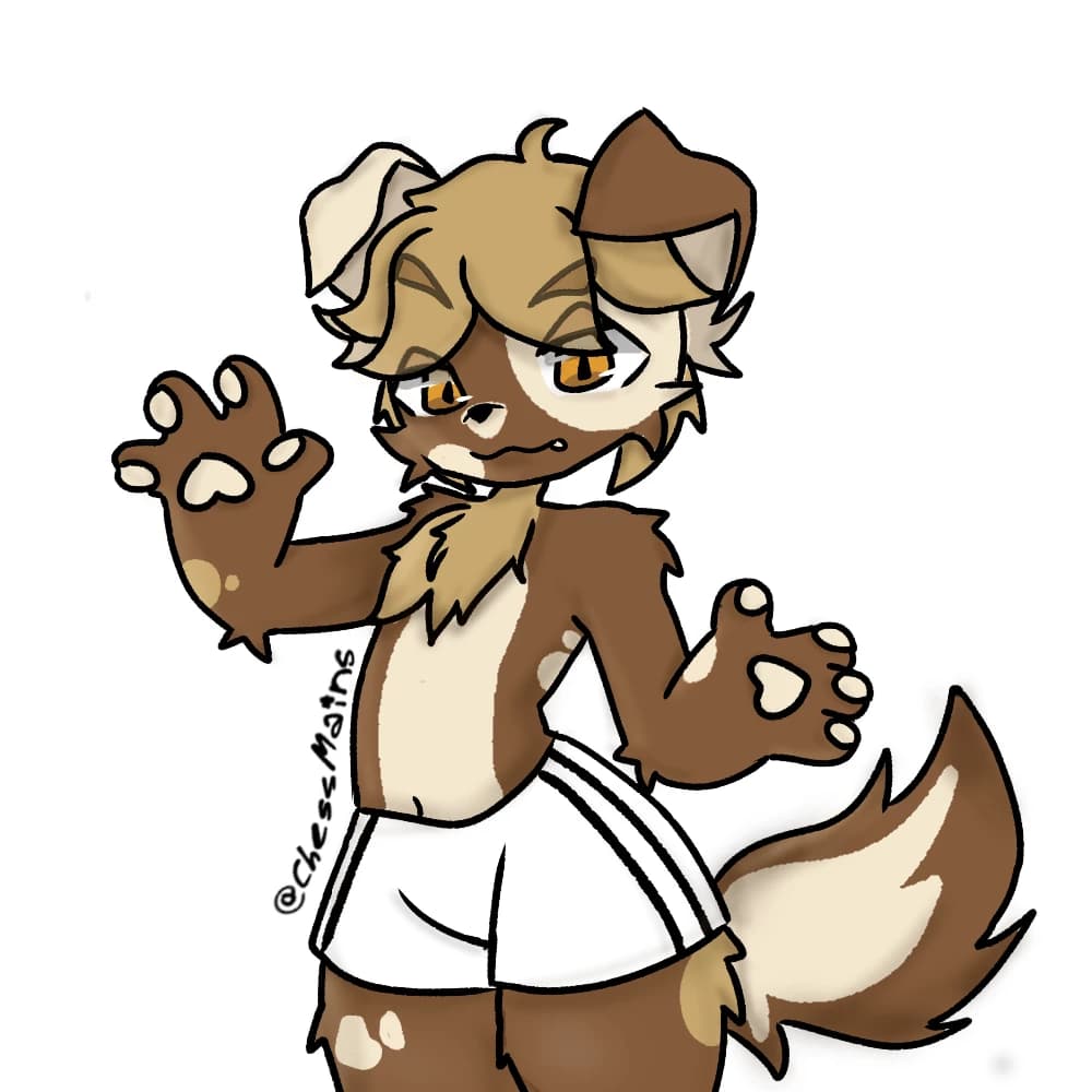 Dex [Furry, femboy] thumbnail