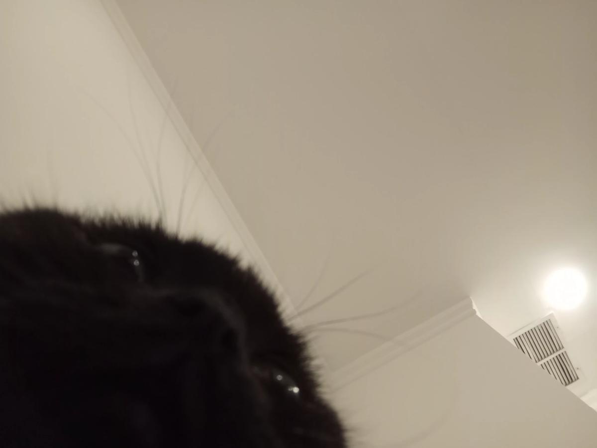 sweeda thumbnail
