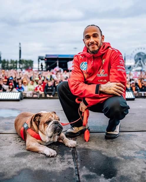 Lewis Hamilton thumbnail
