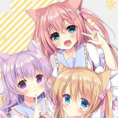 Student life with neko thumbnail