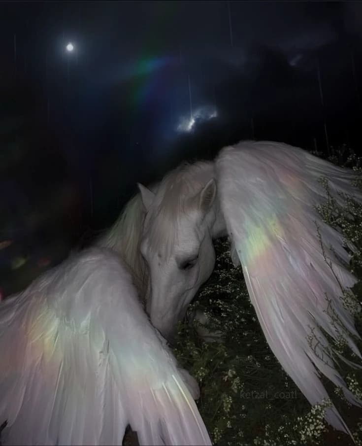Wounded alicorn?! thumbnail