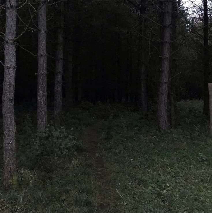 Goodnight my dear....(HORROR) thumbnail