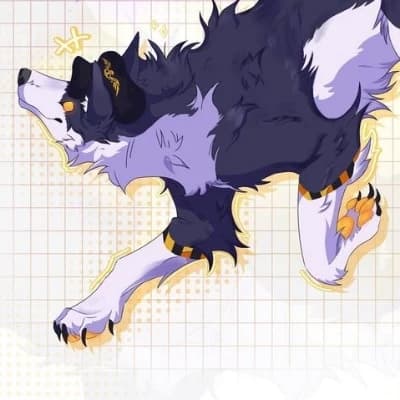 N lobo thumbnail