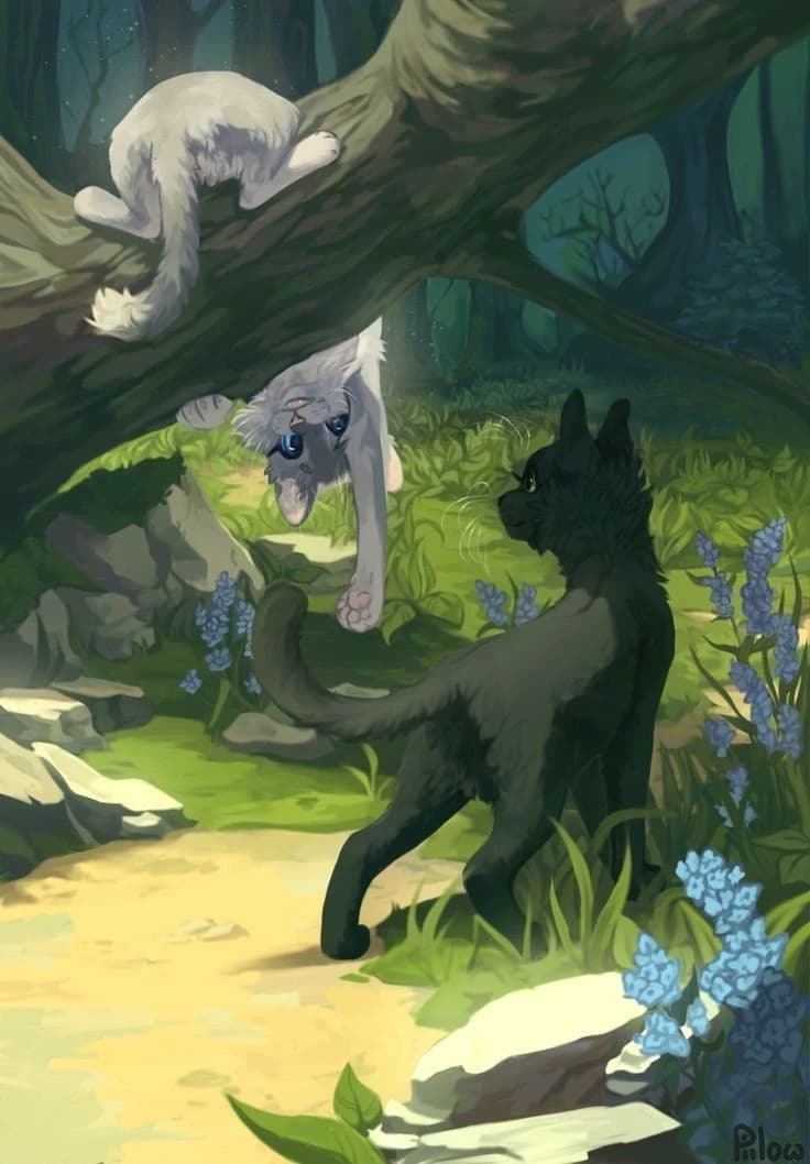Worrior Cats - thumbnail