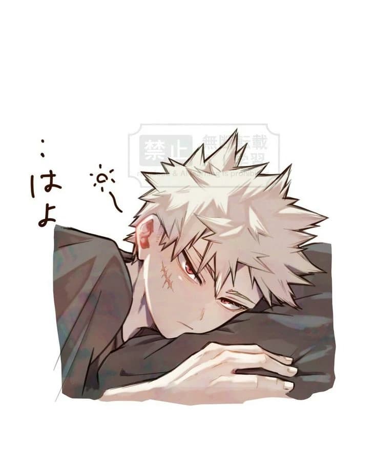 𑣲Bakugou ₊⊹ Katsuki༝༚༝༚ thumbnail