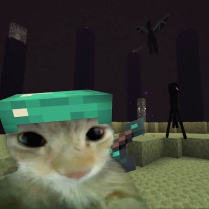 Your cat reset mine without you noticing thumbnail