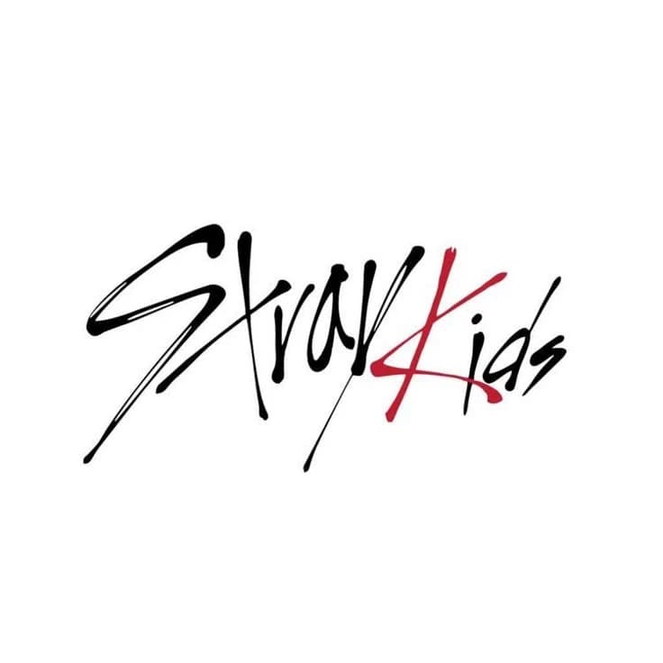 Stray kids thumbnail