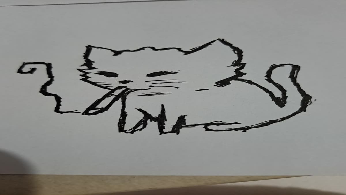 Pro kitten (His name is Ramirez) thumbnail