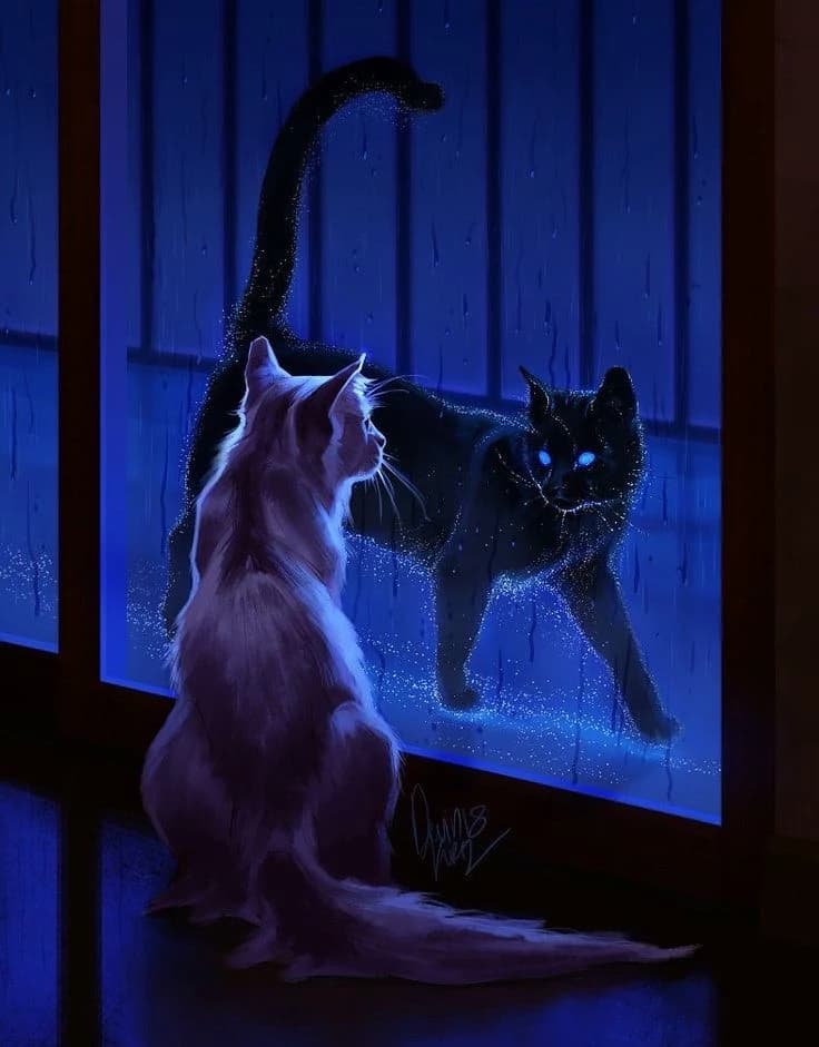 A stranger in the apartment thumbnail