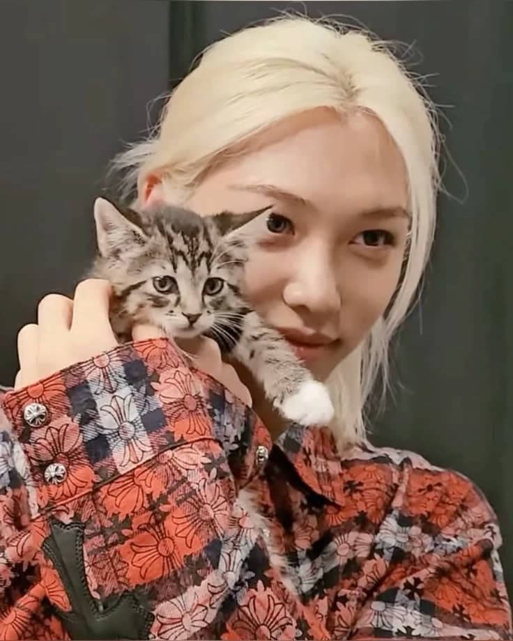 Felix 🐱+🐥 thumbnail