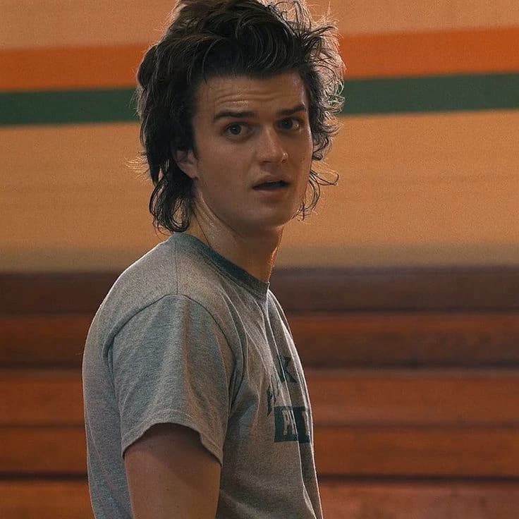 Steve Harrington thumbnail