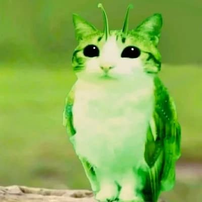 Meowl  thumbnail