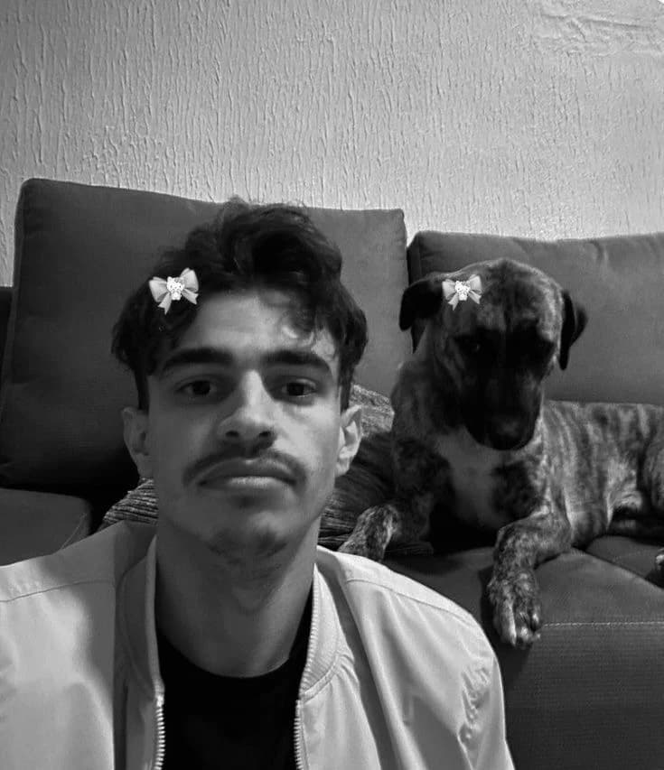 Bistecone thumbnail
