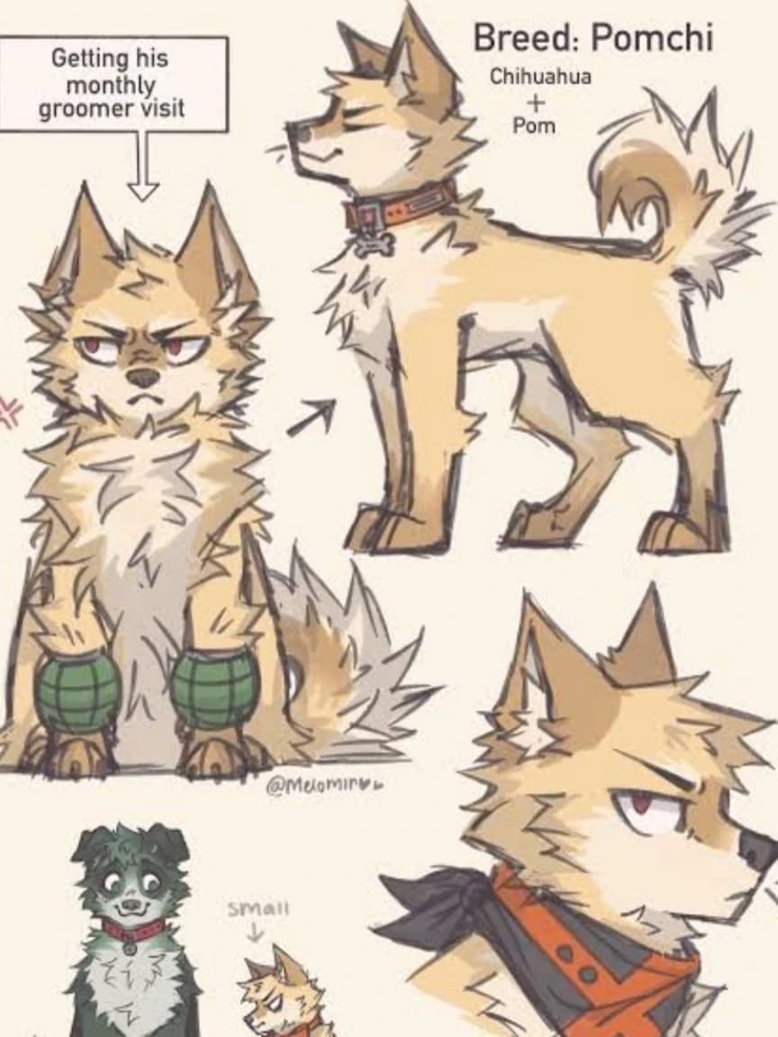 Katsuki perro 🐶 thumbnail