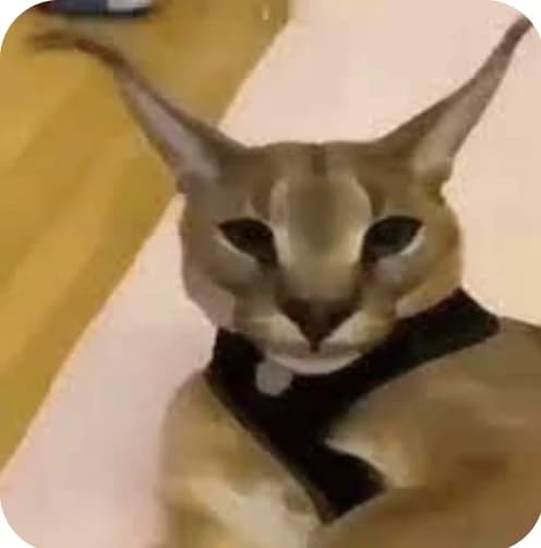 Hecker thumbnail