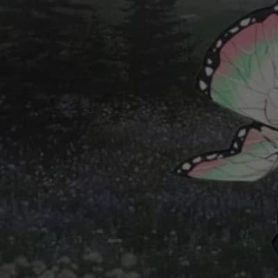 Aki thumbnail