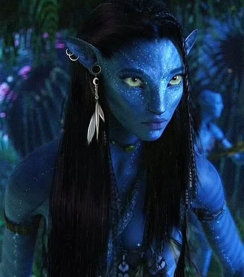 (Avatar) The Outcast Daughter of the Sully Family thumbnail