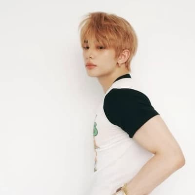 Hyunjin Hybrid thumbnail
