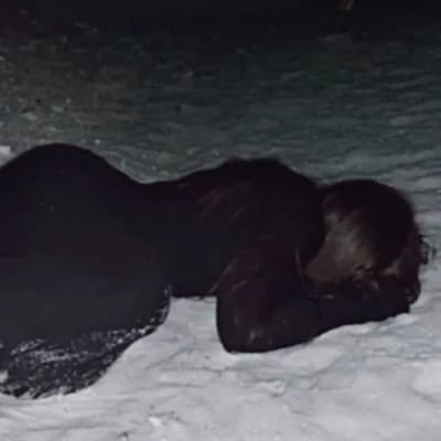 Death girl thumbnail