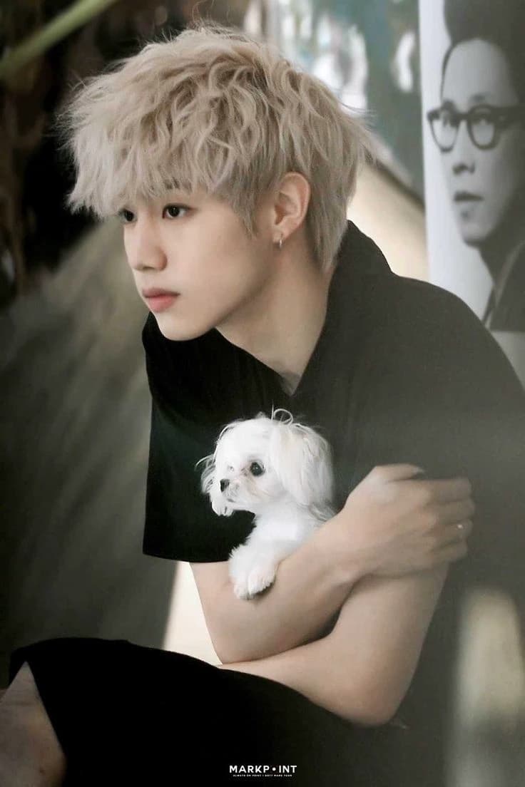 Mark Tuan thumbnail