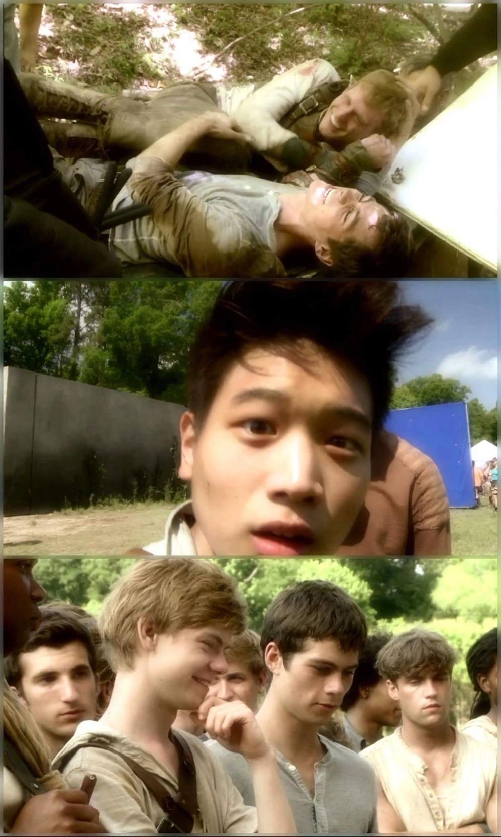 Minho-the maze runner thumbnail