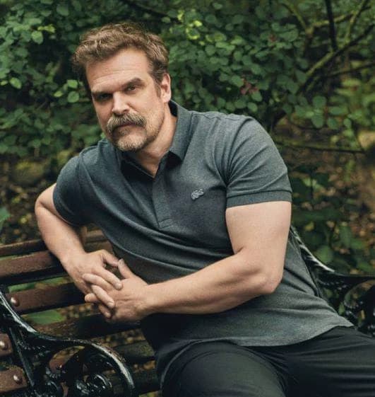 David Harbour thumbnail