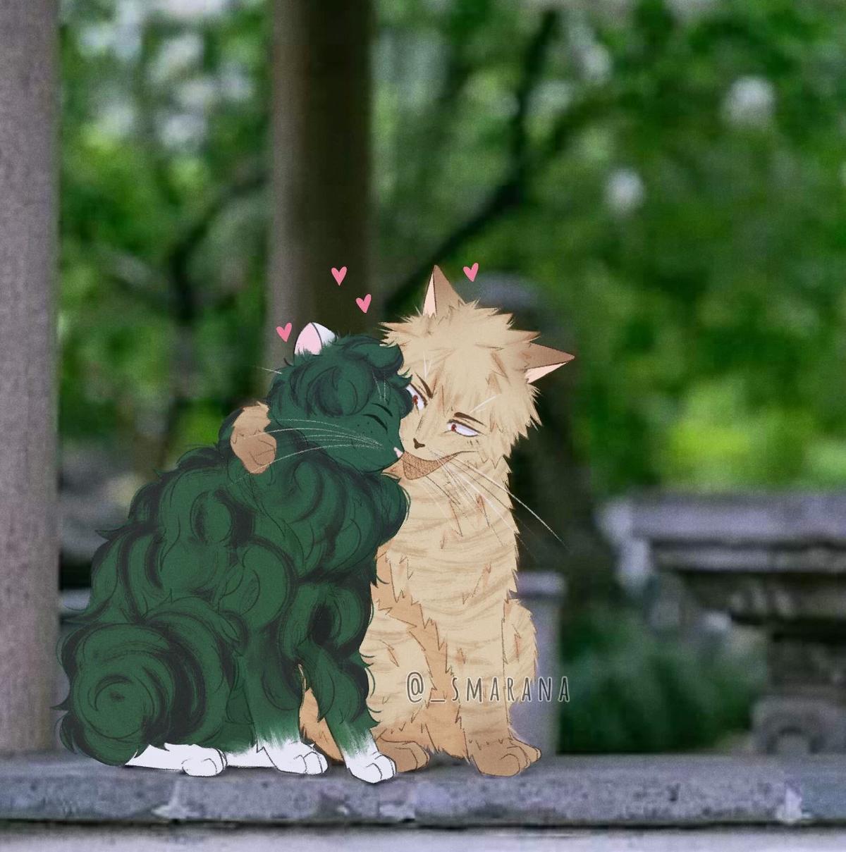 Katsuki Gato 🐱 thumbnail