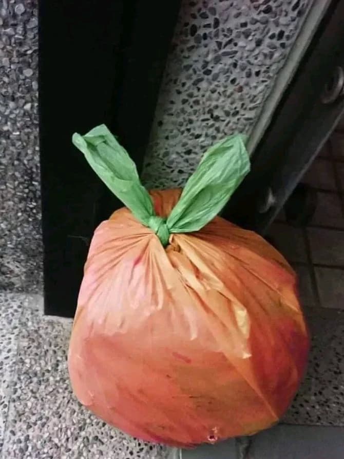 Trashsuba thumbnail