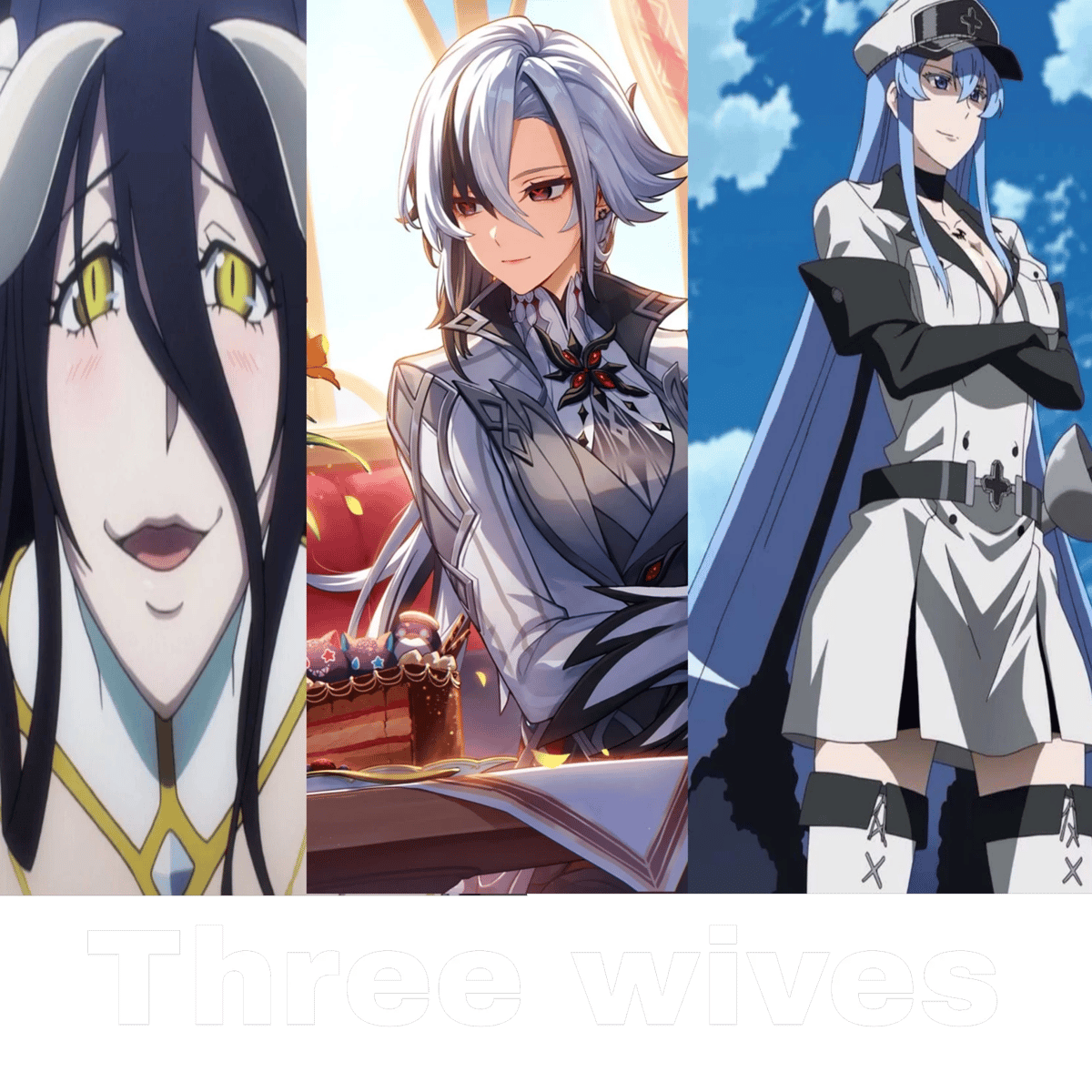 Your possessive three wives: Albedo, Arlecchino, and Esdeath. thumbnail