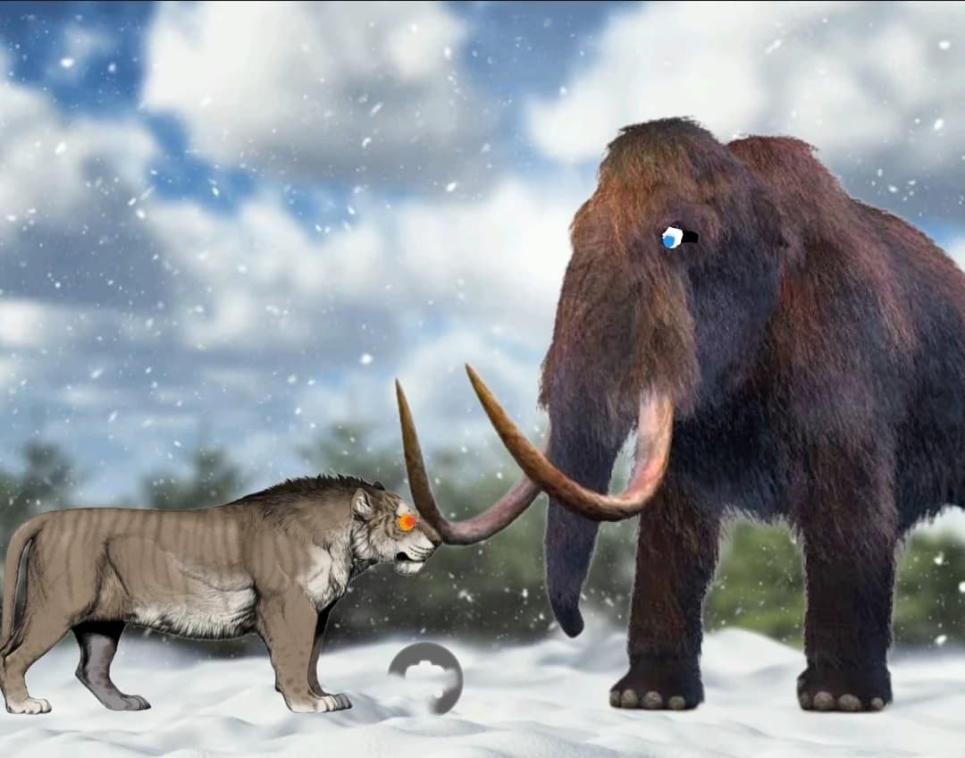 Muta x lions thumbnail