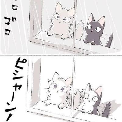 Sanemi Shinazugawa (Cat Form) thumbnail
