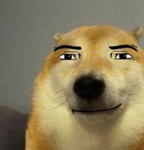 Chill dog (relax Bro?) thumbnail